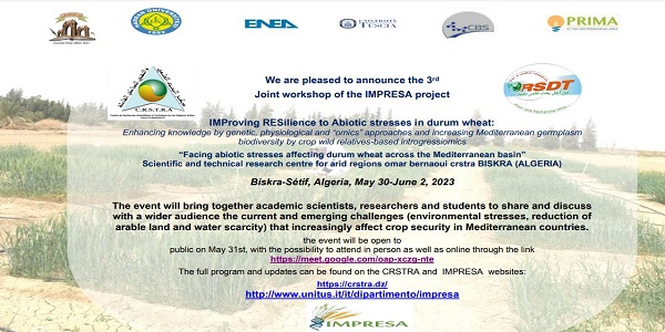 Enhancing resilience to abiotic stress in durum wheat