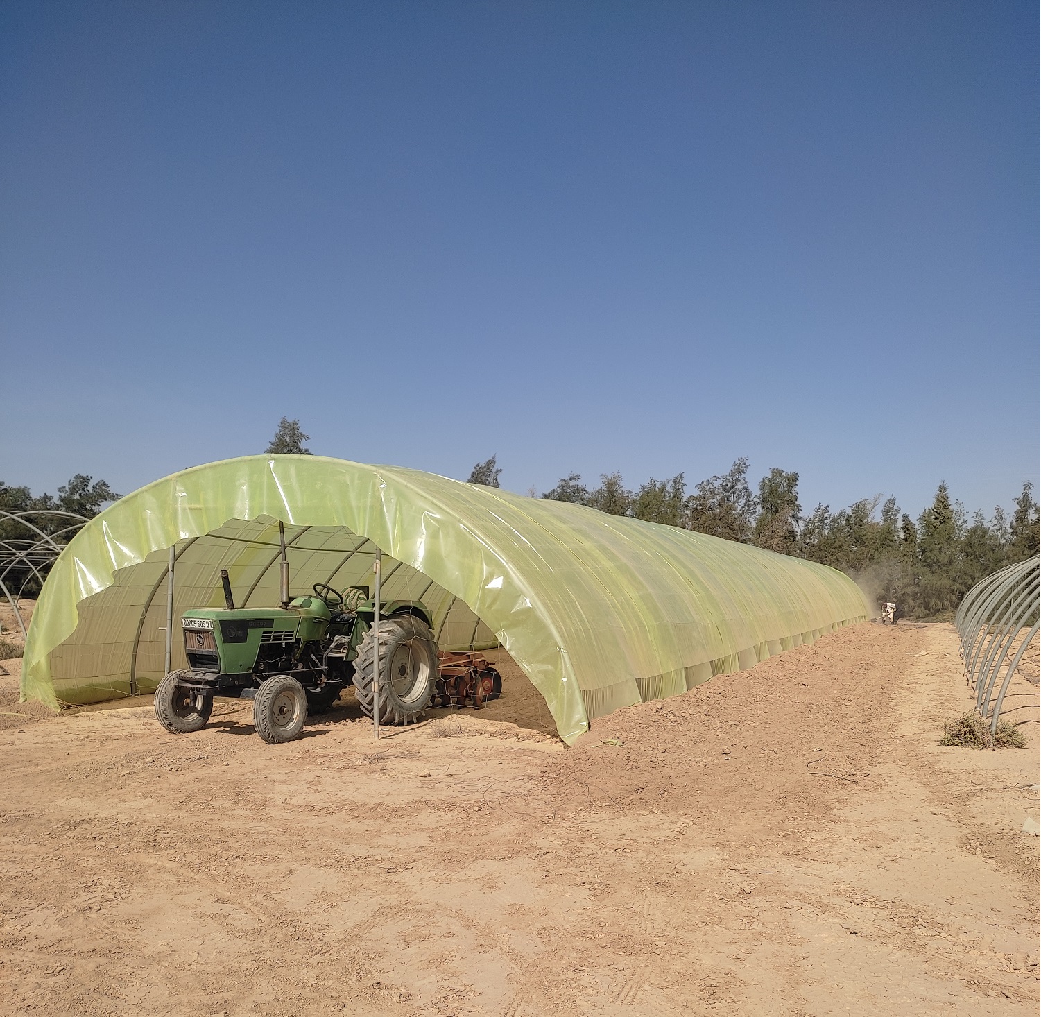 Parcelles expérimentales