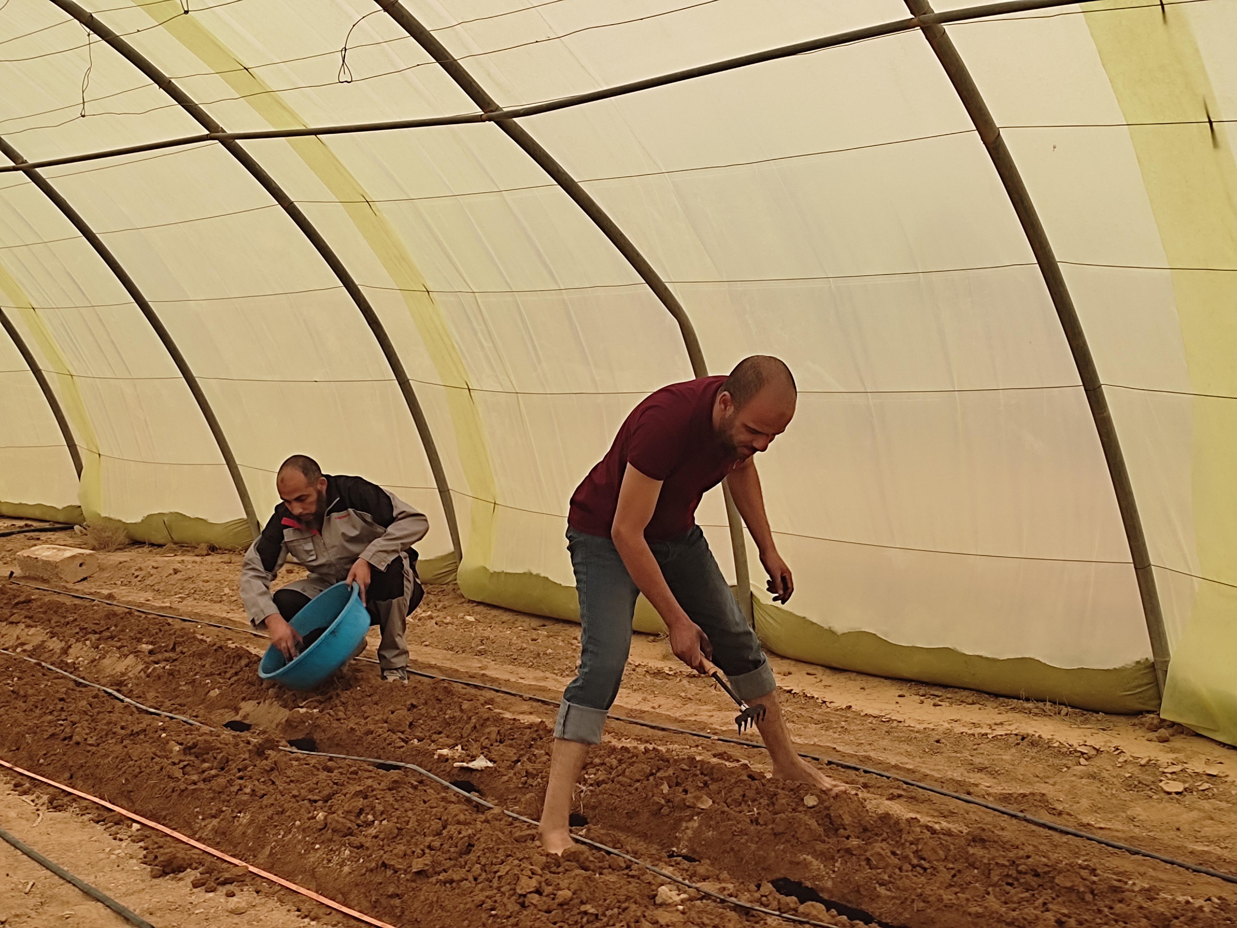 Parcelles expérimentales