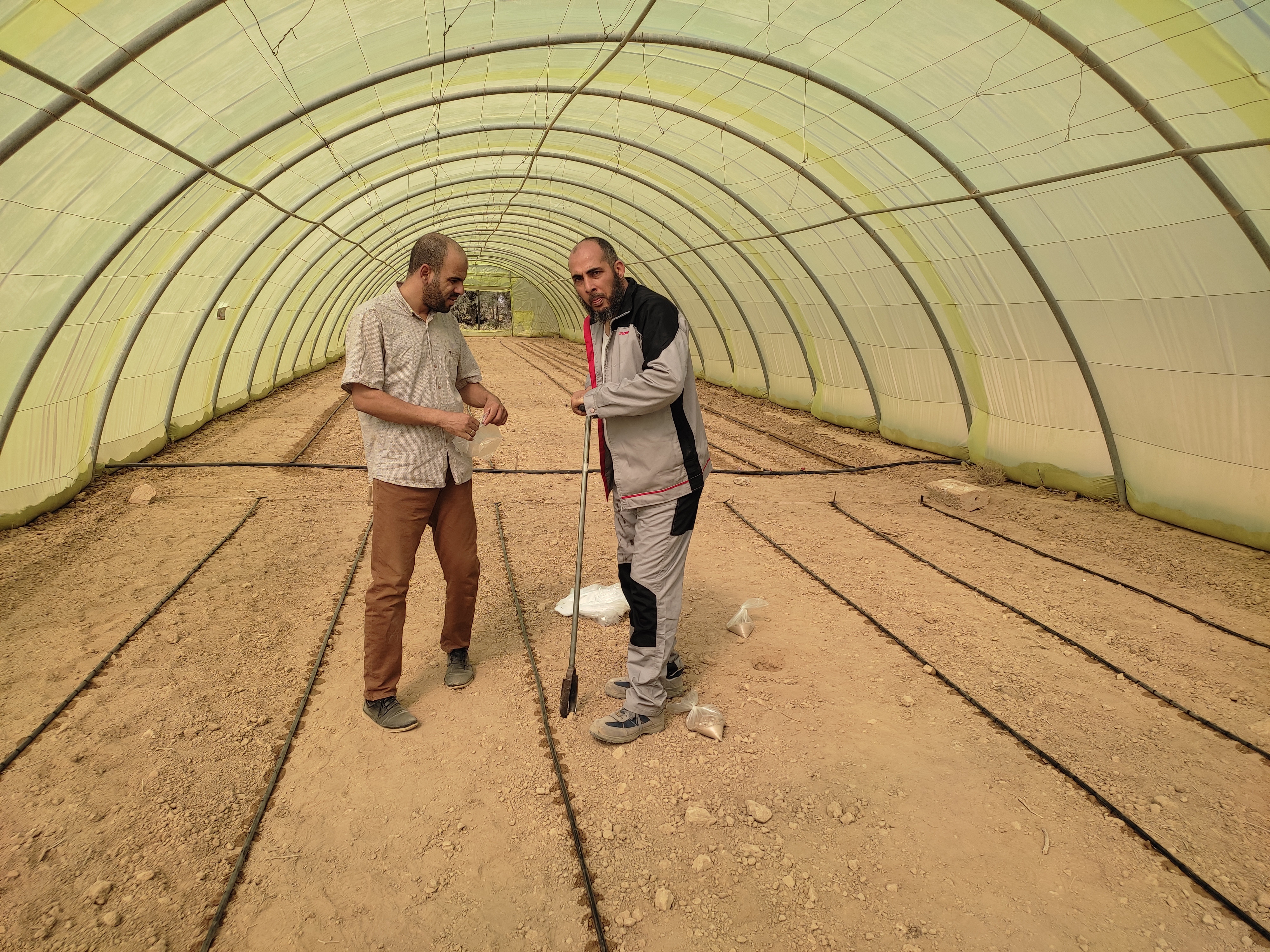 Parcelles expérimentales