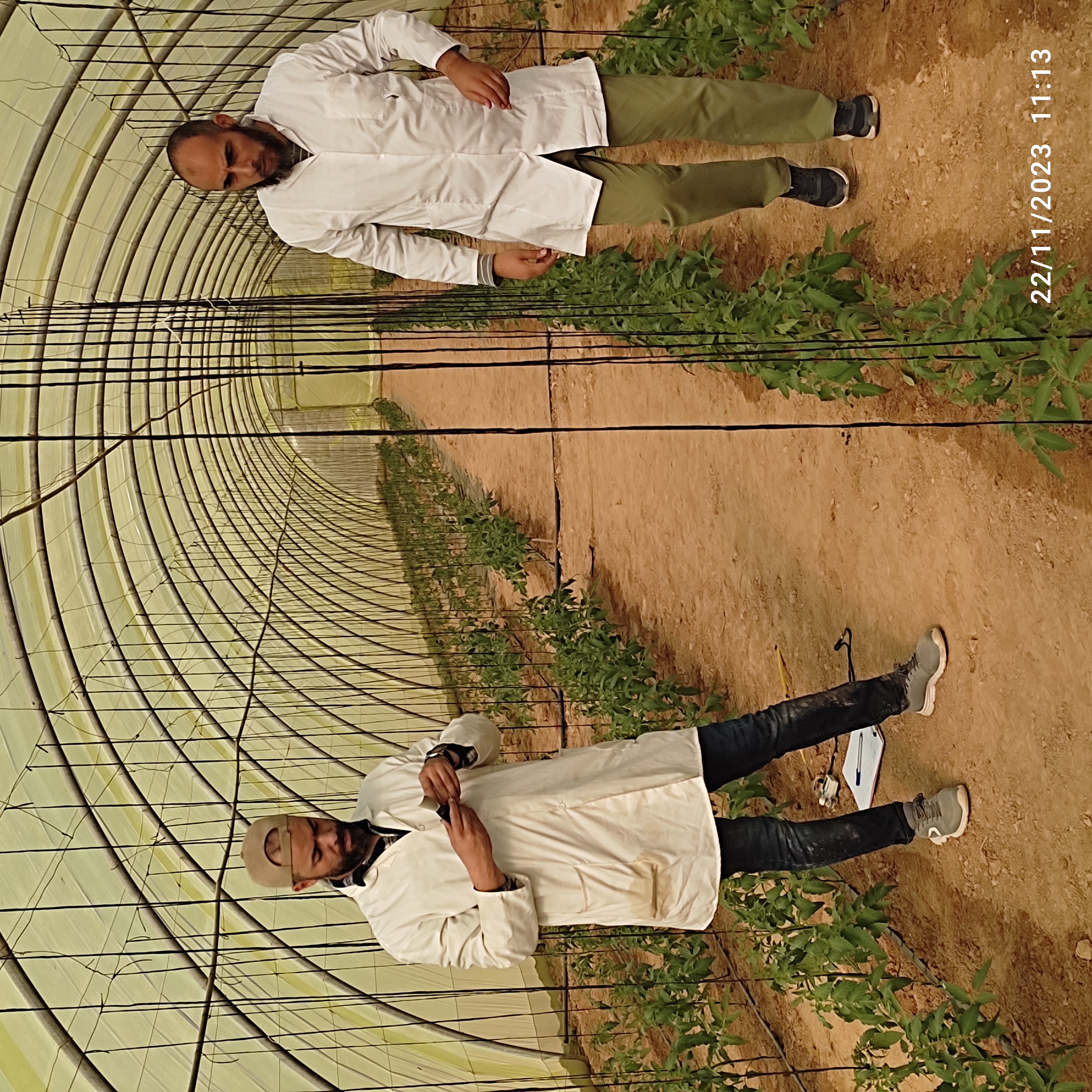 Parcelles expérimentales