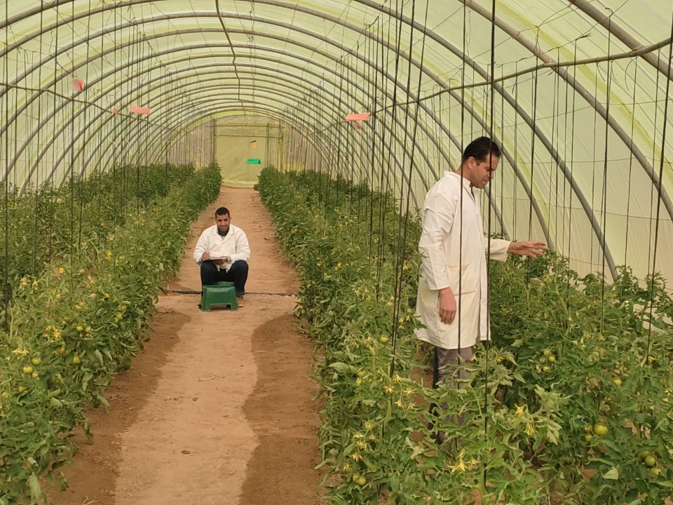 Parcelles expérimentales