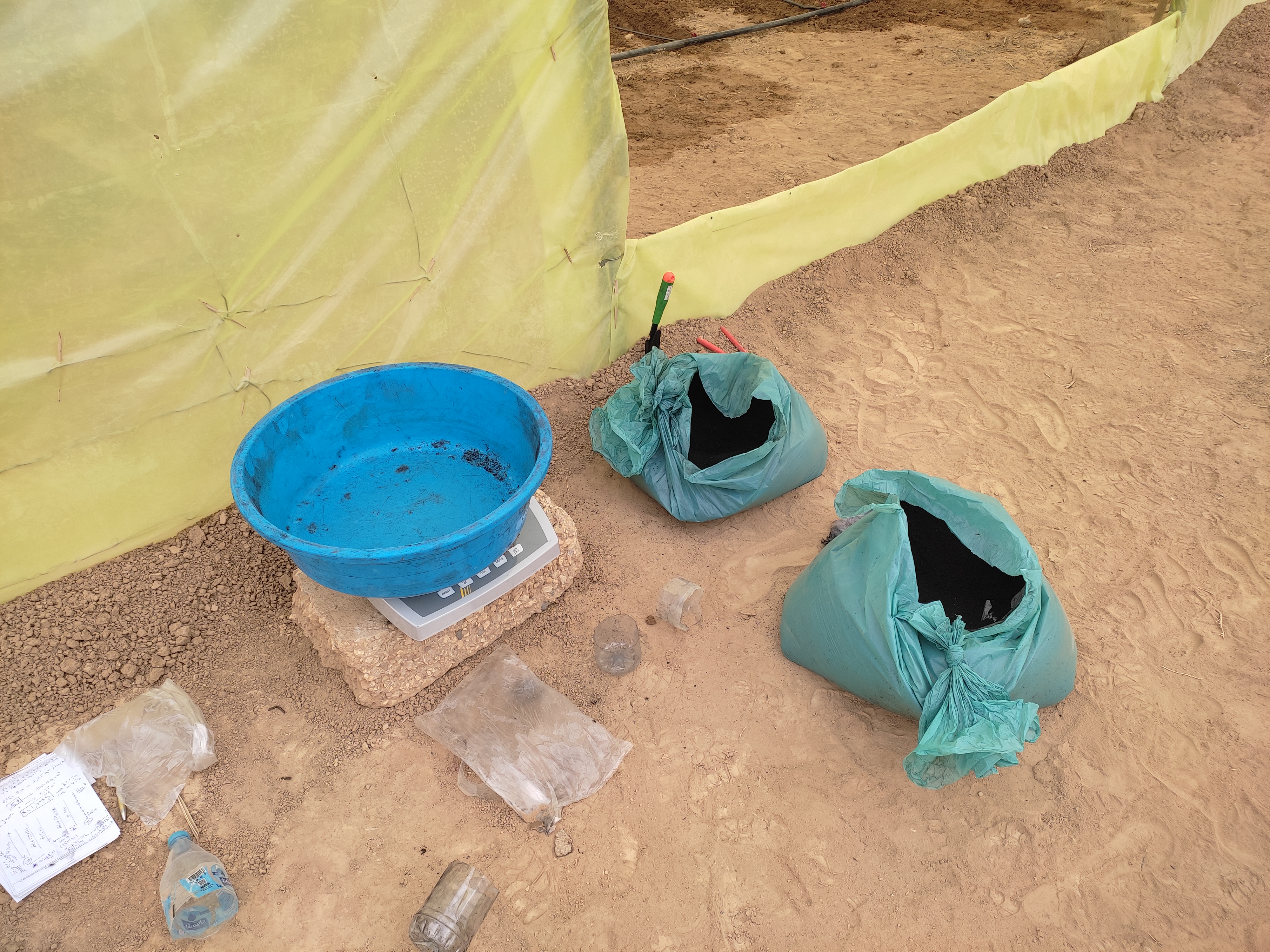 Échantillons de biochar