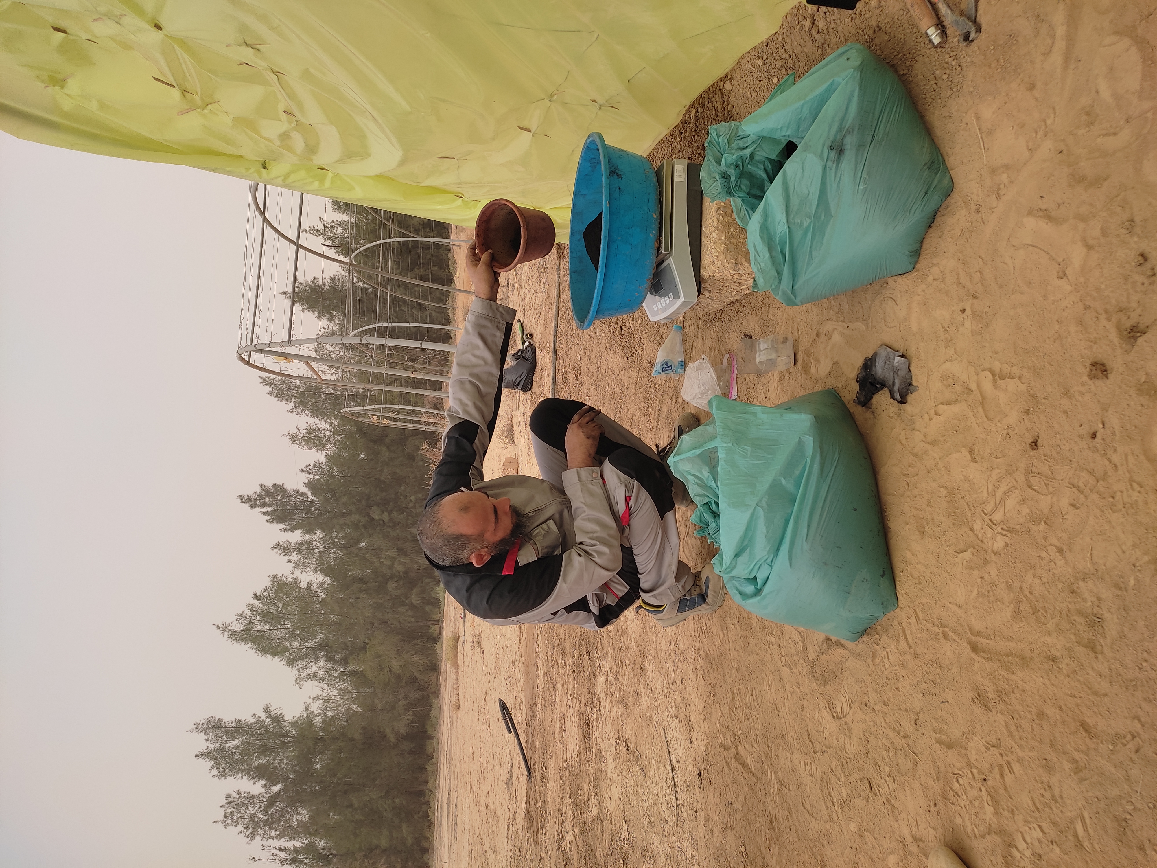 Échantillons de biochar