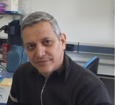 Prof. Dr. Saif Allah Mohamed Keshbar